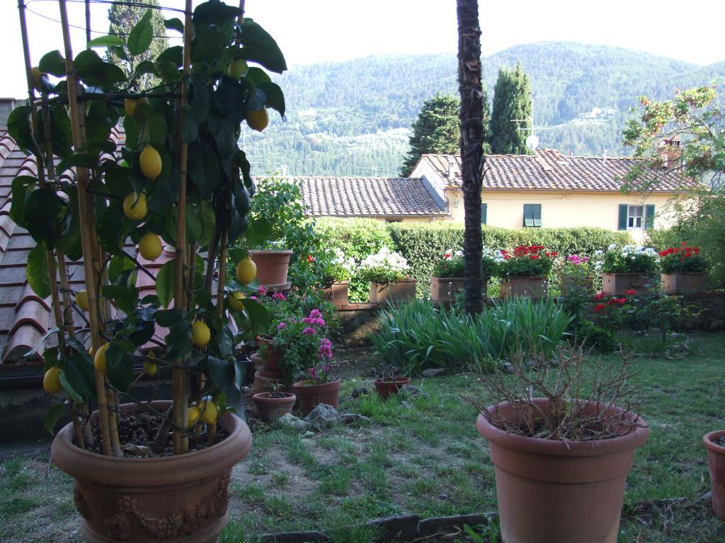 Villa Nobili B&B 바뇨아리폴리 외부 사진