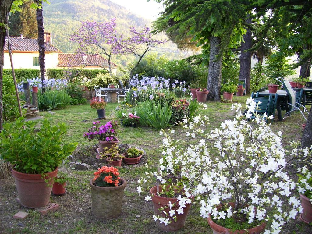 Villa Nobili B&B 바뇨아리폴리 객실 사진